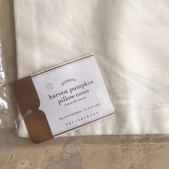 NWT Pottery Barn Harvest Pumpkin Pillow Cover 20” - Picture 4 of 5